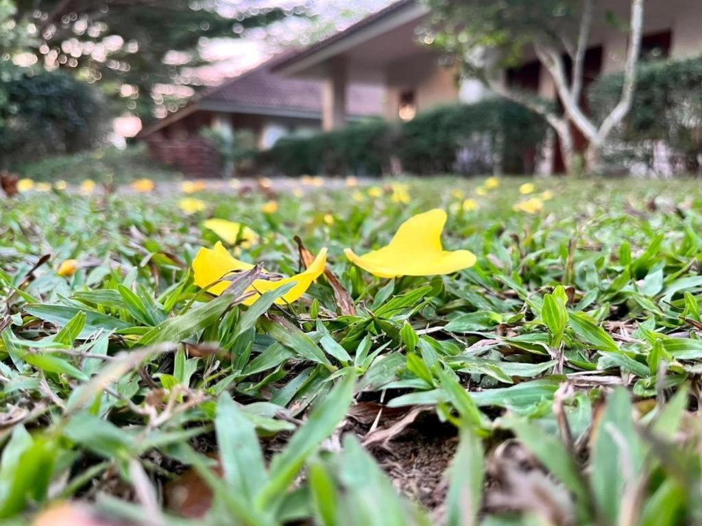 Baan Chuengkao Resort Ranong Luaran gambar